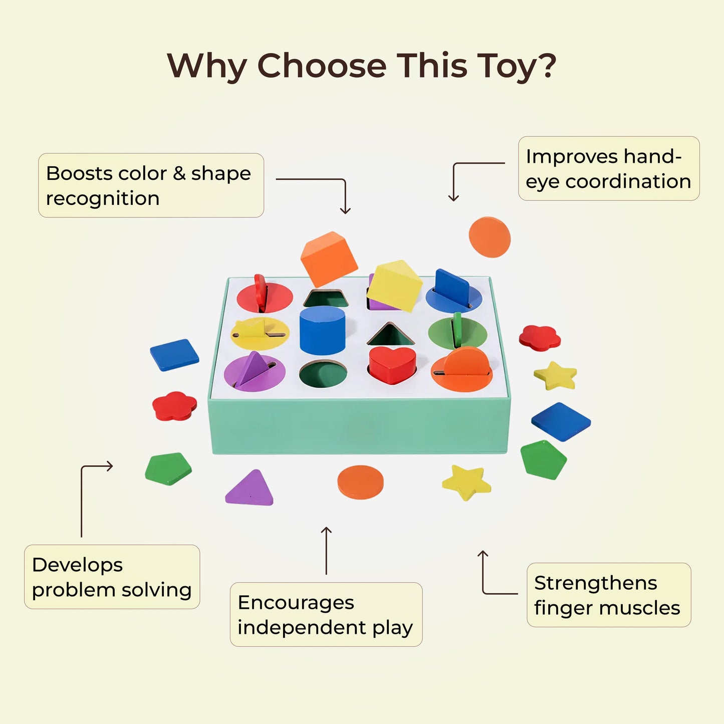 12-Hole Color Sorting Box – Shape & Color Sorting Toy for Toddlers