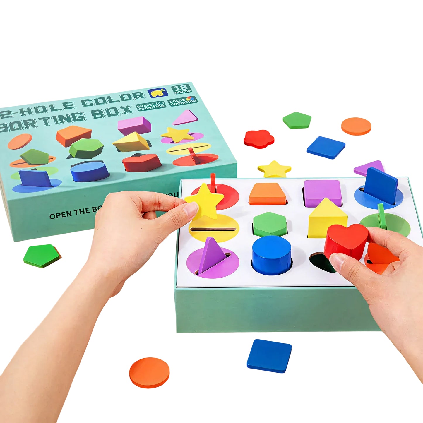 12-Hole Color Sorting Box – Shape & Color Sorting Toy for Toddlers